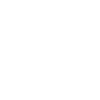 Consultation and Brief